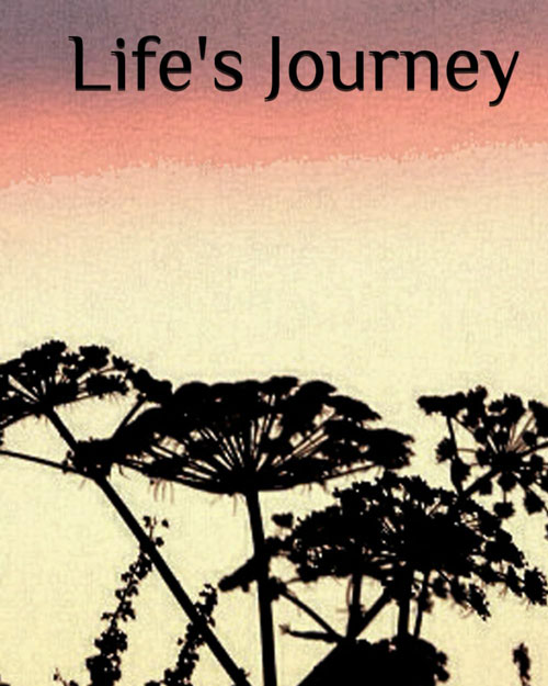 Life's Journey