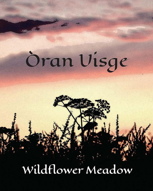 Òran Uisge - Wildflower Meadow